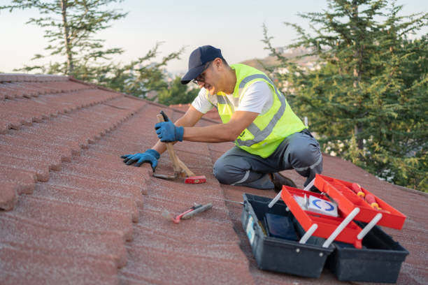 Best Roof Inspection Near Me  in Silver Lake, KS